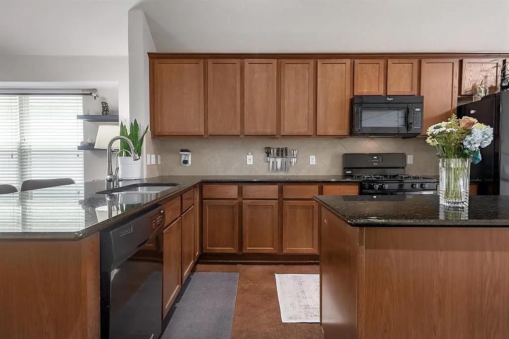 205 Field Corn Ln, San Marcos, TX 78666