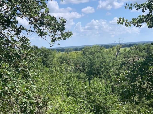 107 & 113 McCarthy Dr, Bastrop, TX 78602