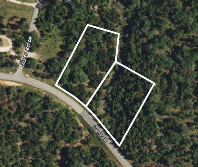 TBD - Lots 1 & 41 Colovista Dr, Bastrop, TX 78602