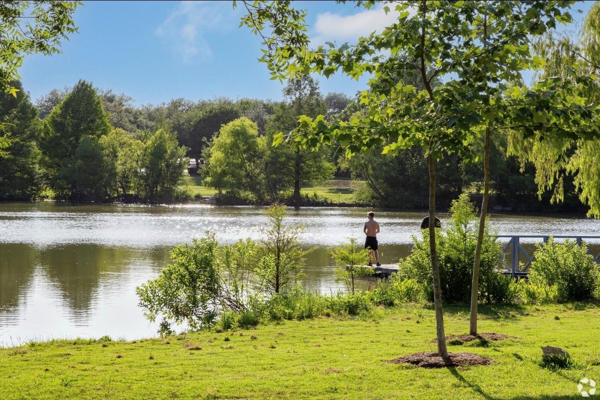 2449 RICK WHINERY Dr, Austin, TX 78728