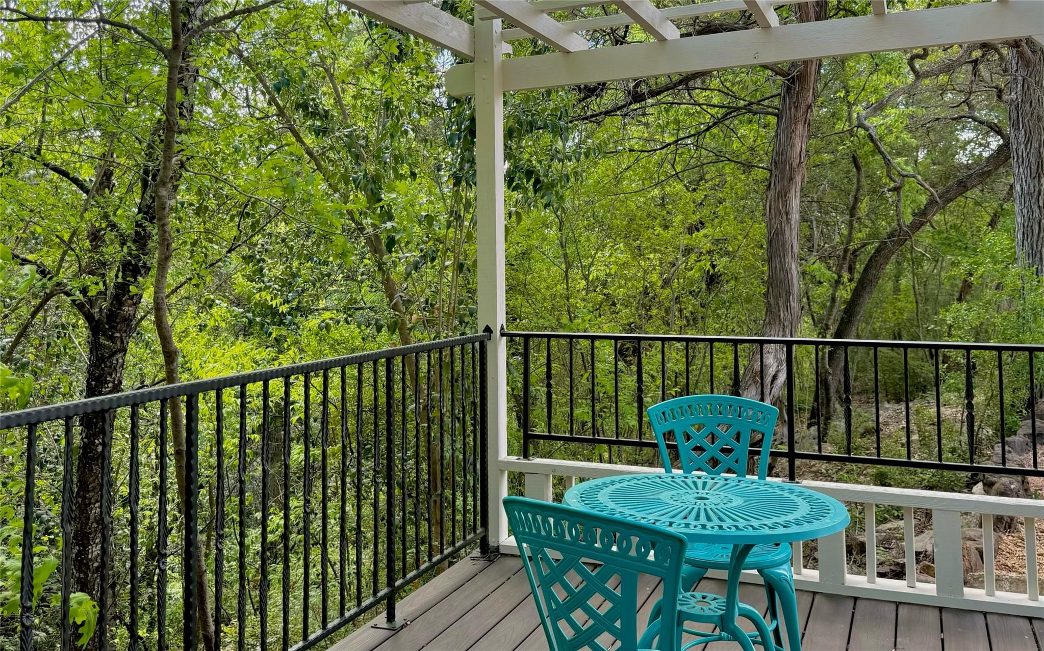 14428 Tuscola Cir, Austin, TX 78734