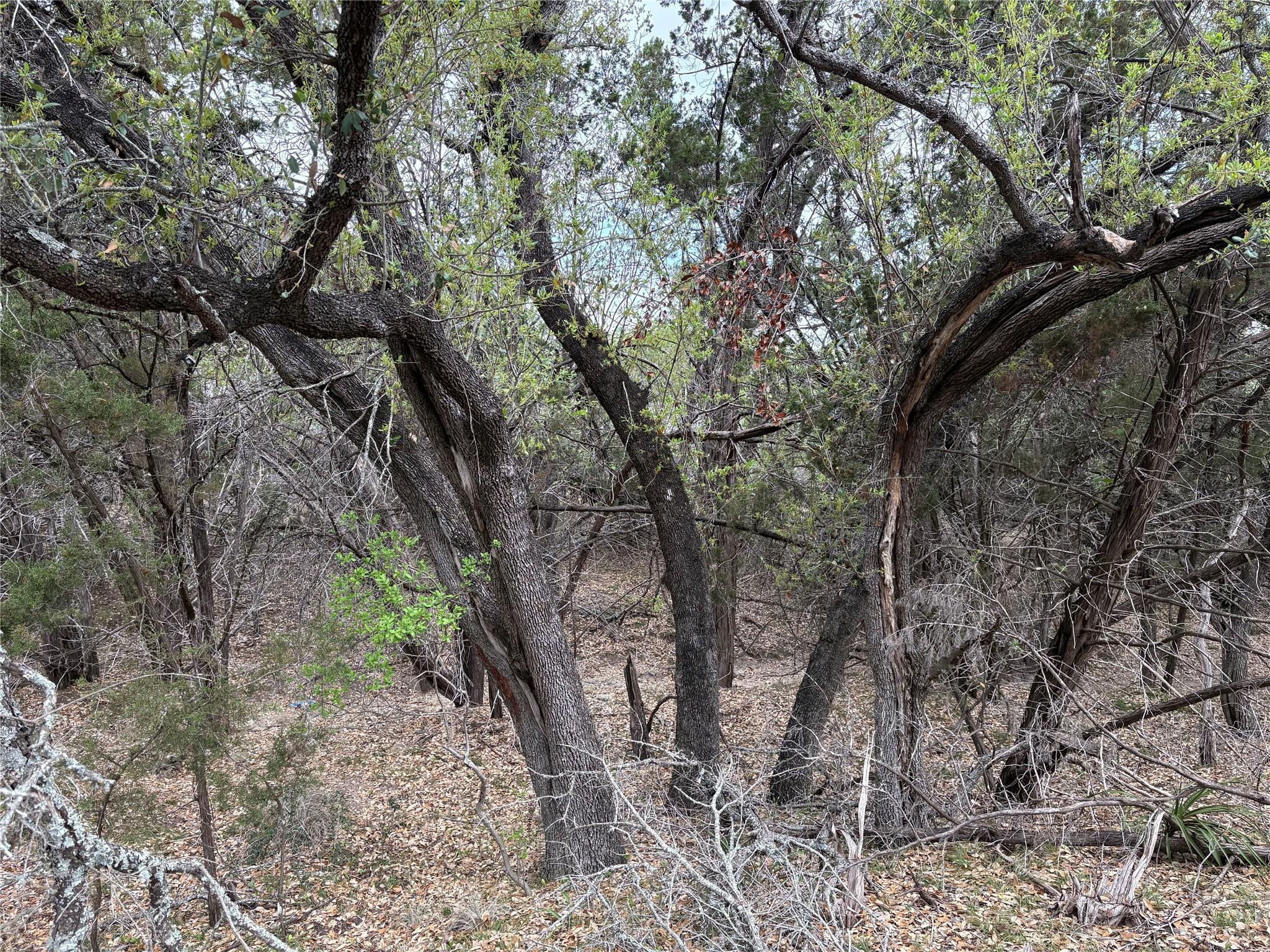 TBD West Cave Blvd, Dripping Springs, TX 78620