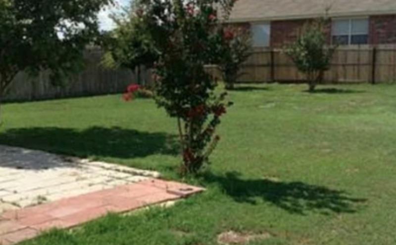 811 Shadow Creek Blvd, Buda, TX 78610