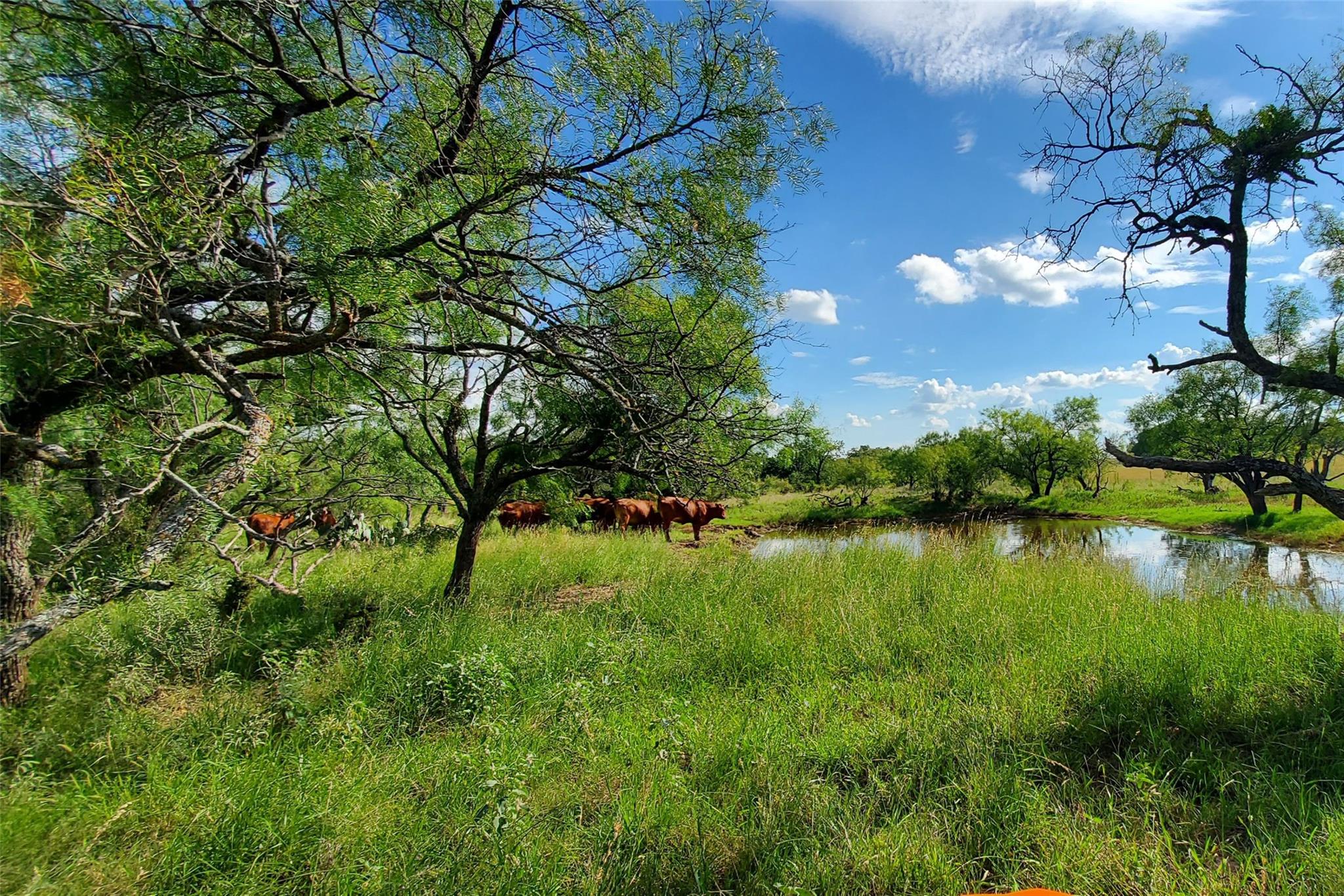 TBD 411B, Pontotoc, TX 76869