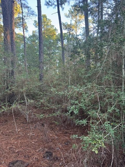 103 Lake Point Way, Bastrop, TX 78602