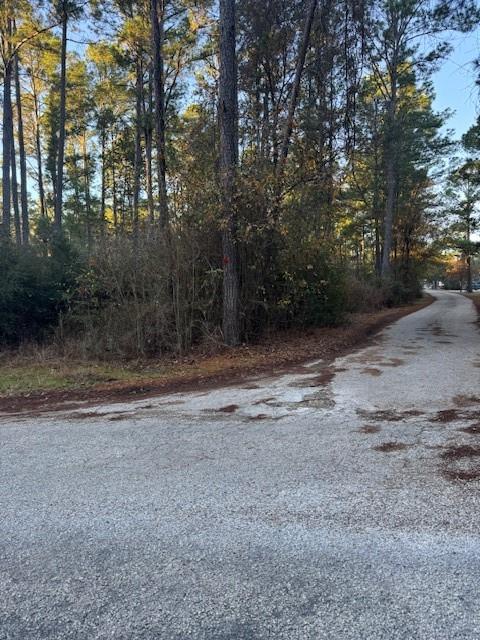 103 Lake Point Way, Bastrop, TX 78602