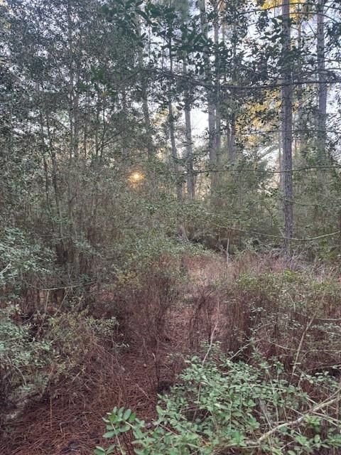 103 Lake Point Way, Bastrop, TX 78602