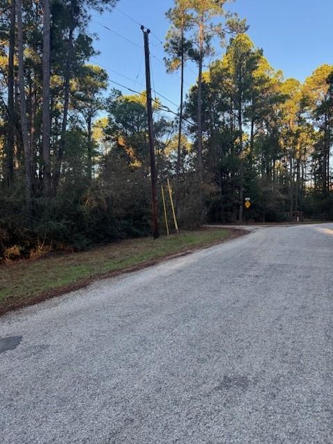 103 Lake Point Way, Bastrop, TX 78602