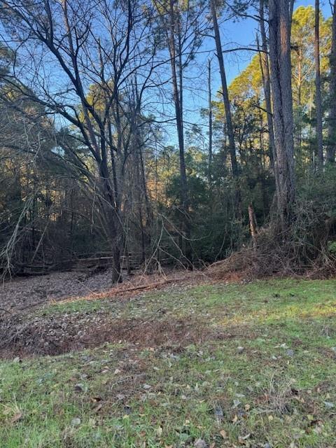 103 Lake Point Way, Bastrop, TX 78602