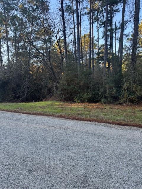 103 Lake Point Way, Bastrop, TX 78602