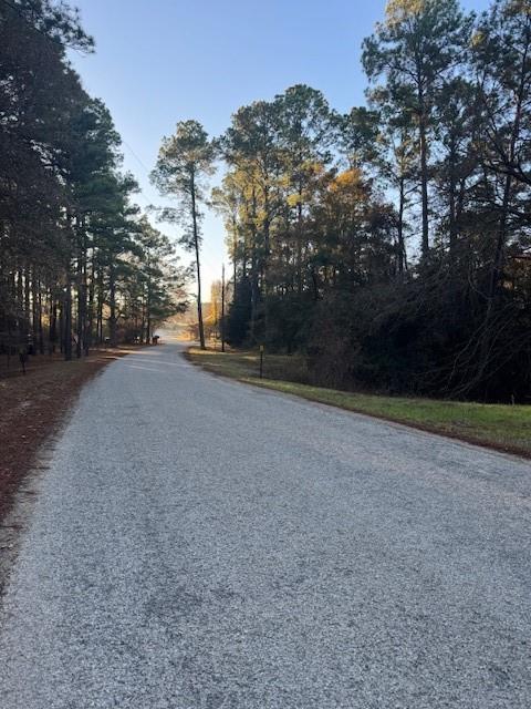 103 Lake Point Way, Bastrop, TX 78602