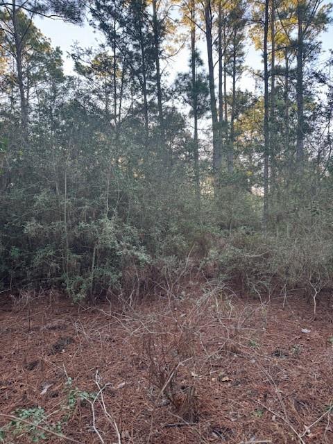 103 Lake Point Way, Bastrop, TX 78602