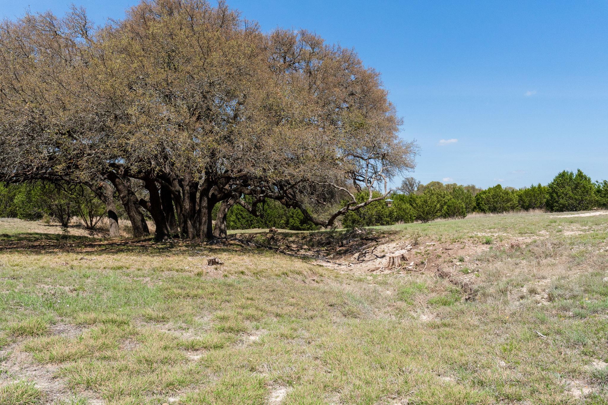 305 Willow Oak Dr, Goldthwaite, TX 76844