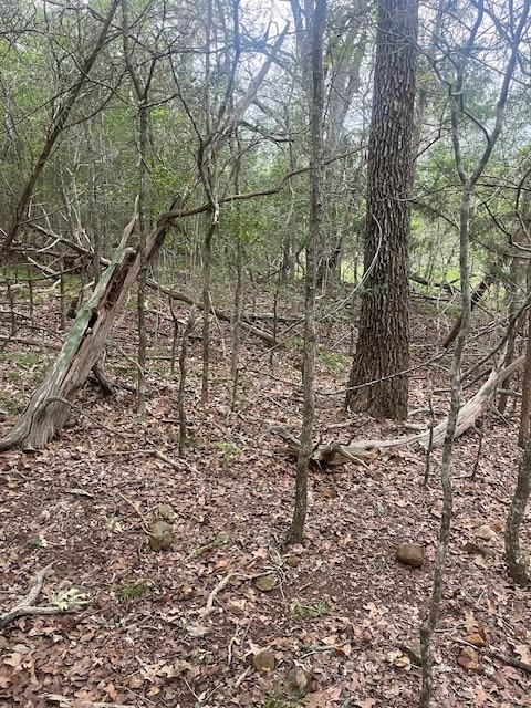 Lot 628 Hilea Ct, Bastrop, TX 78602