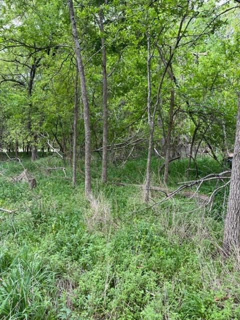 225 Kahana Ln, Bastrop, TX 78602