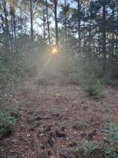 107 Lake Point Way, Bastrop, TX 78602