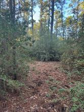 107 Lake Point Way, Bastrop, TX 78602