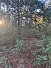 107 Lake Point Way, Bastrop, TX 78602