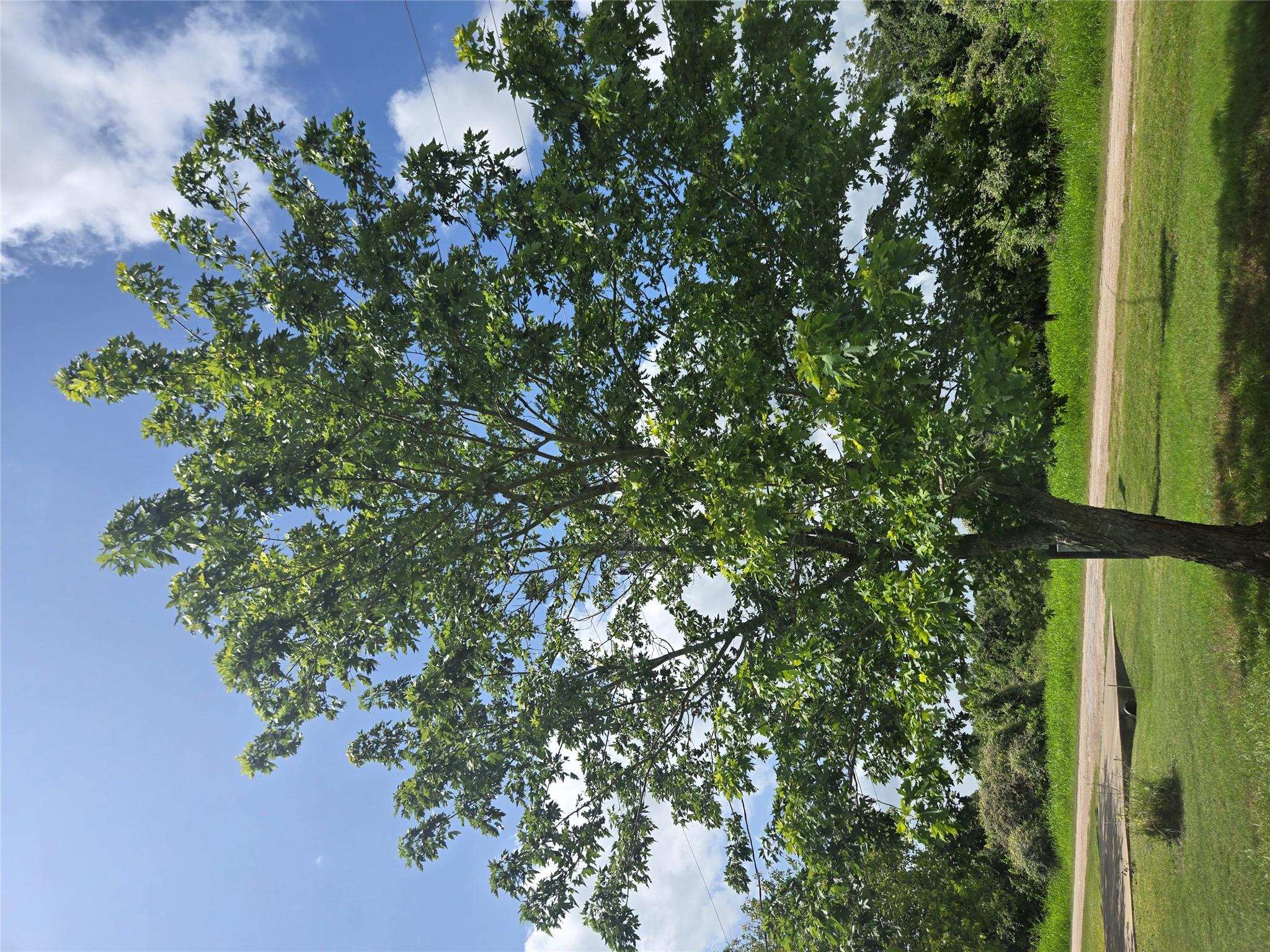 184 Kahana Ln, Bastrop, TX 78602