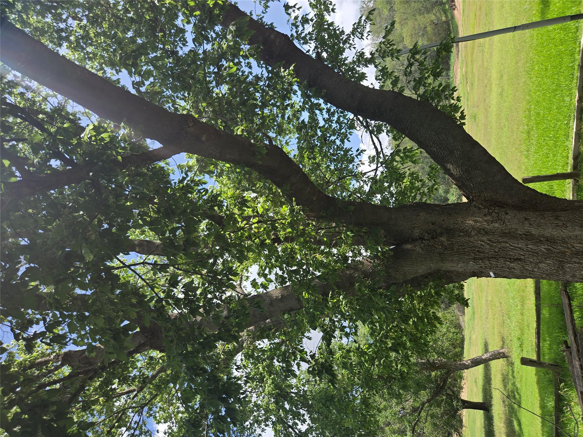 184 Kahana Ln, Bastrop, TX 78602