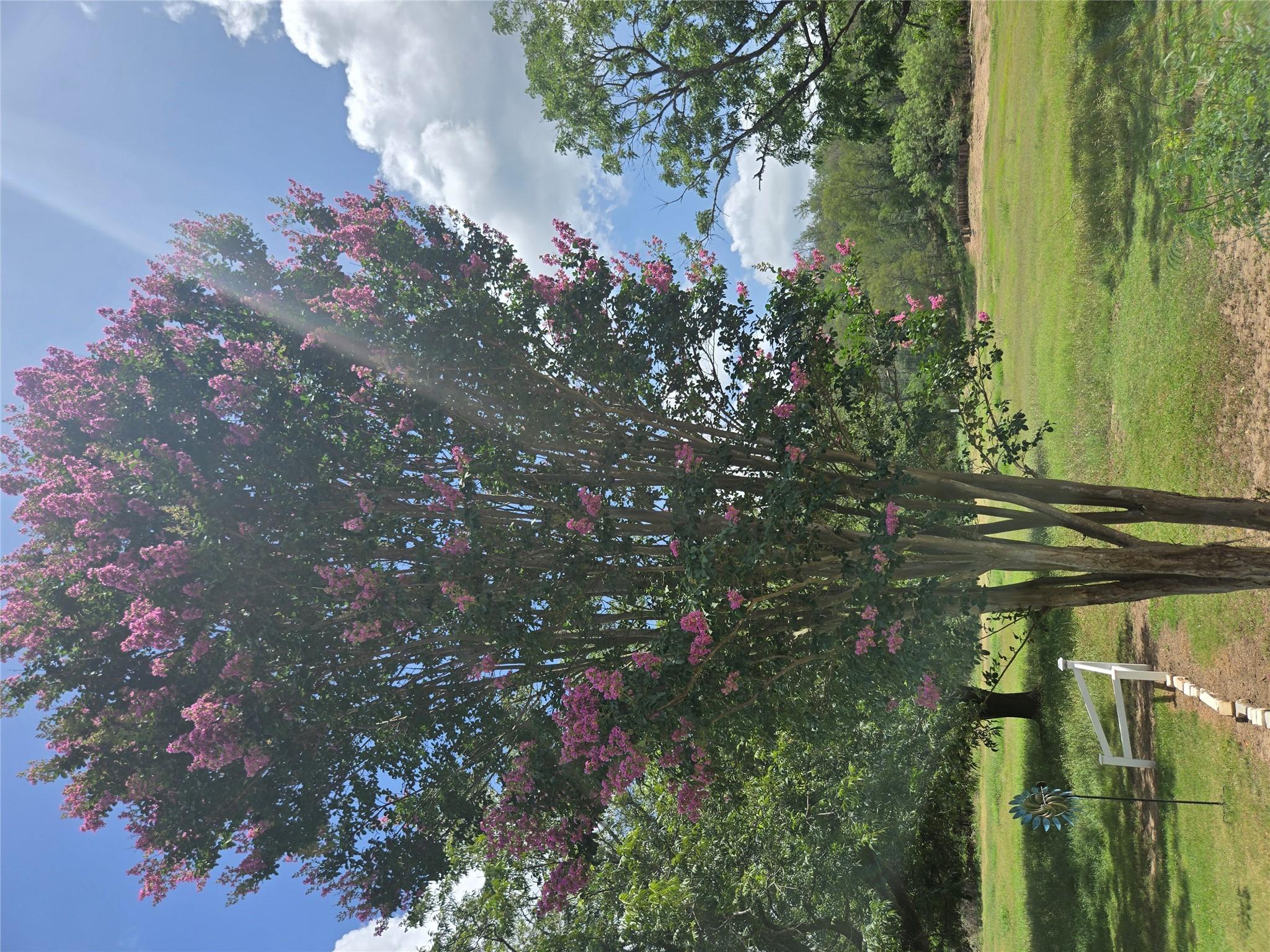 184 Kahana Ln, Bastrop, TX 78602