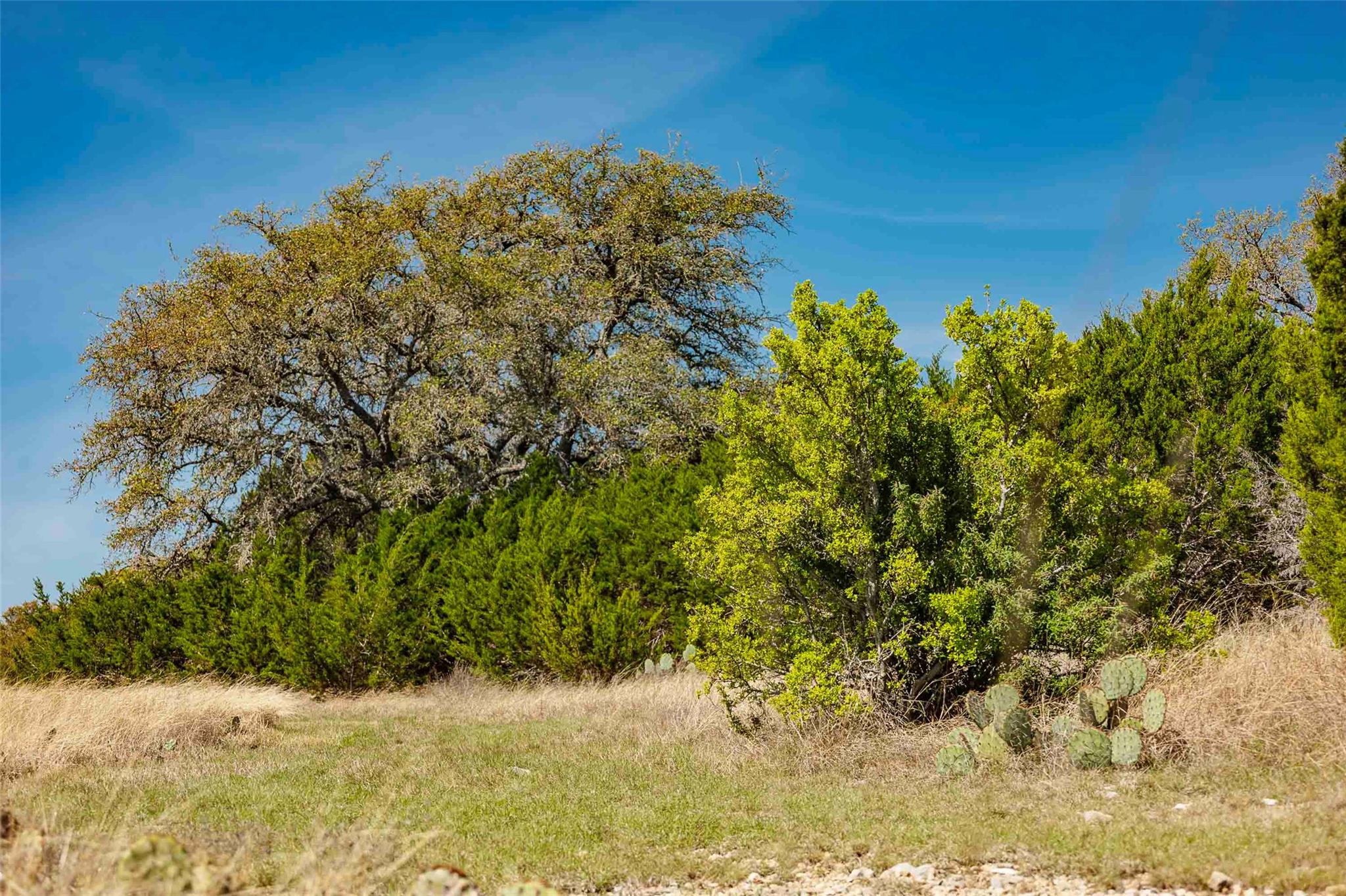 TBD Saddle Ridge Dr, Bertram, TX 78605