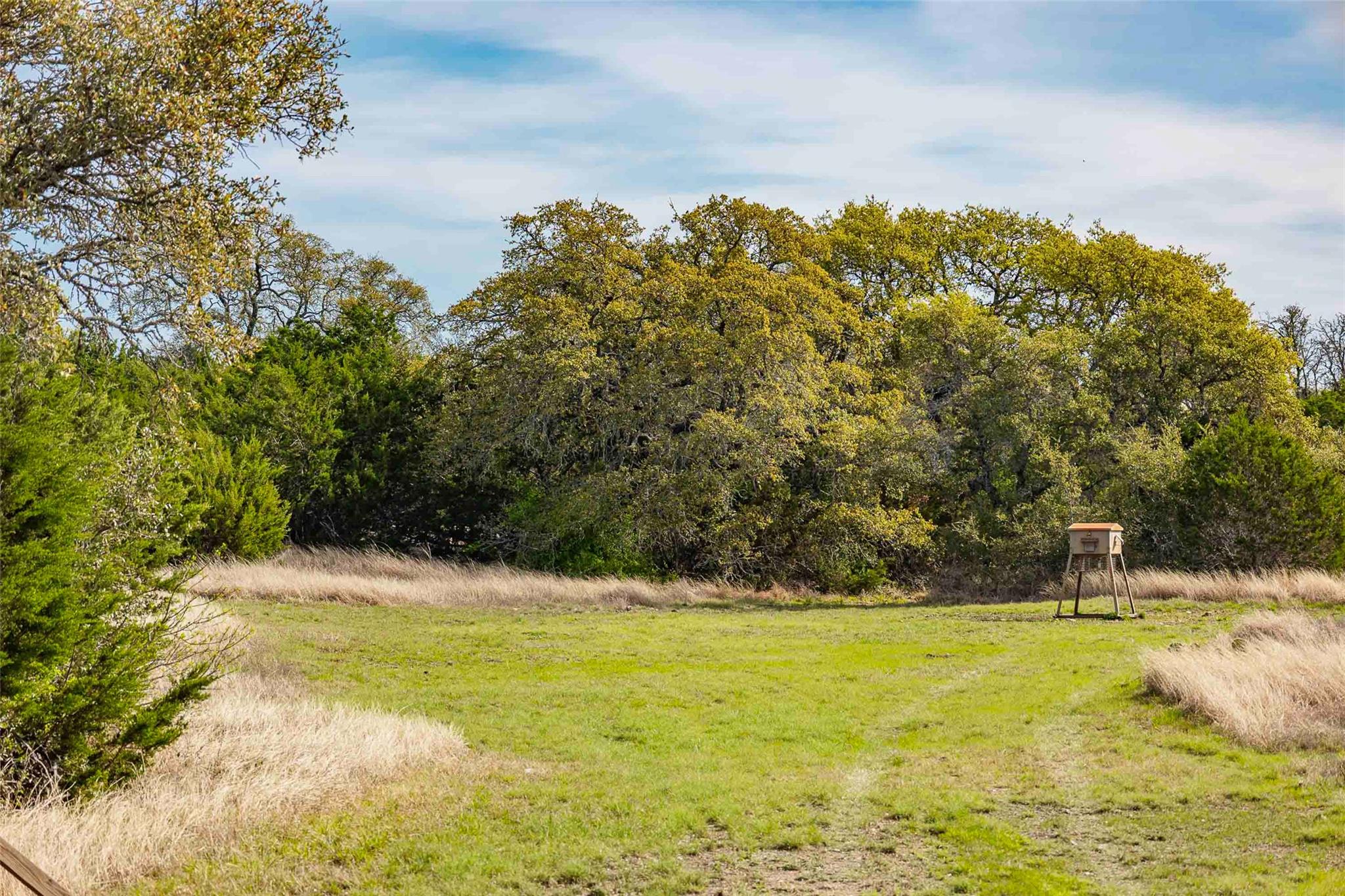 TBD Saddle Ridge Dr, Bertram, TX 78605