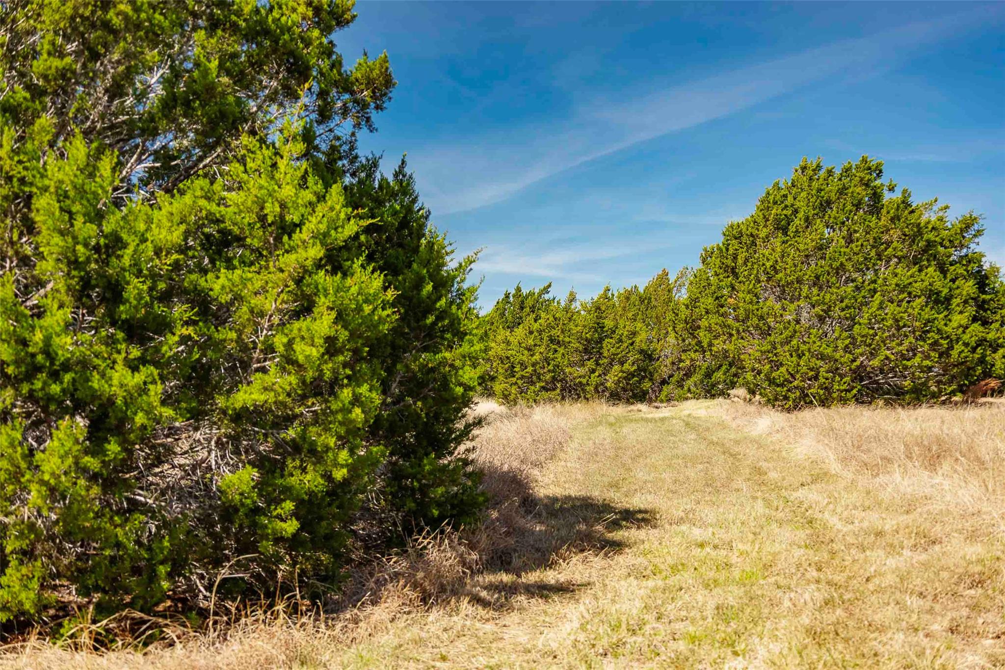 TBD Saddle Ridge Dr, Bertram, TX 78605