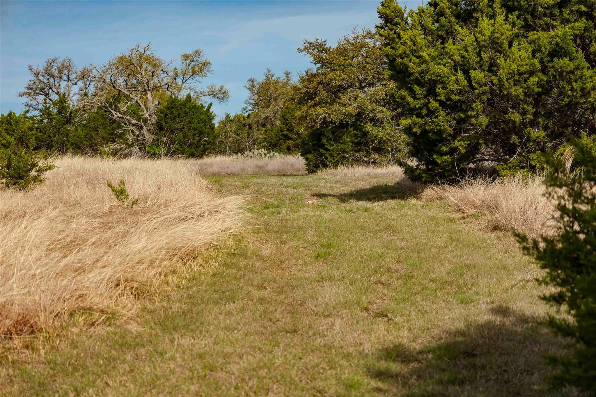 TBD Saddle Ridge Dr, Bertram, TX 78605