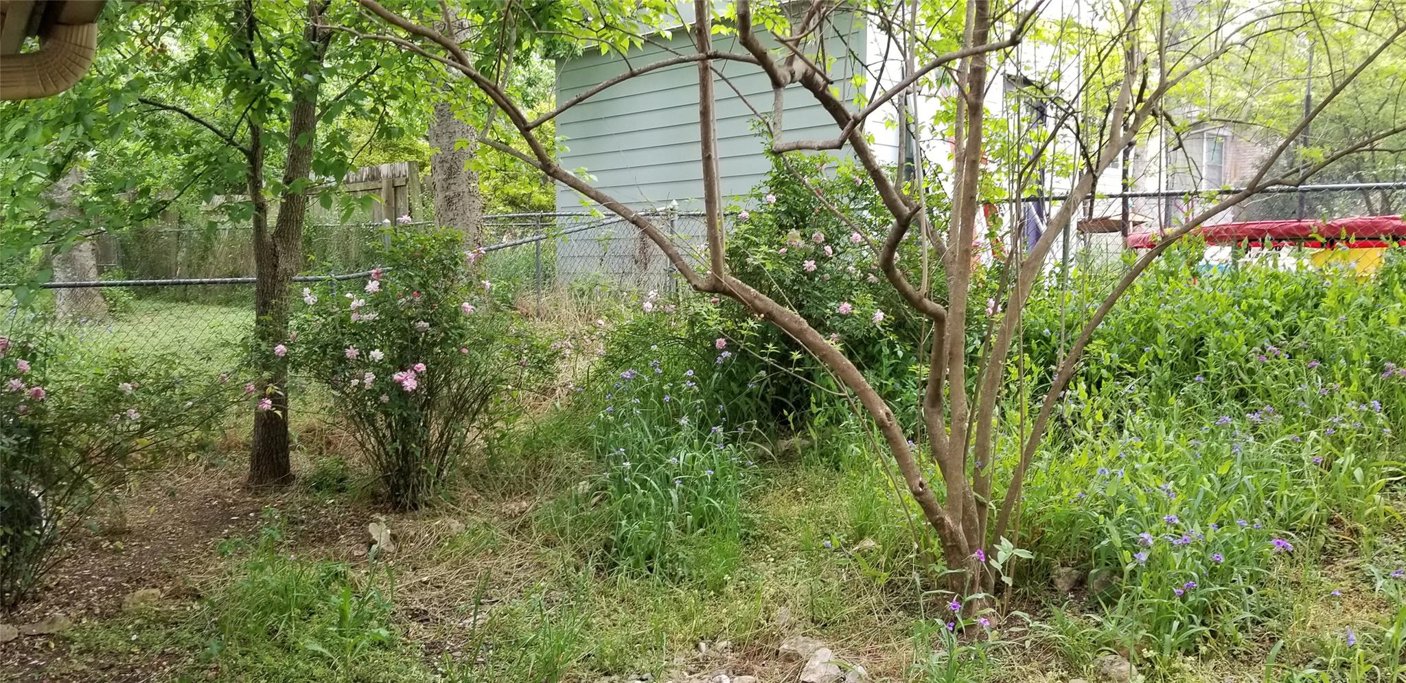 2114 Ann Arbor Ave # B, Austin, TX 78704