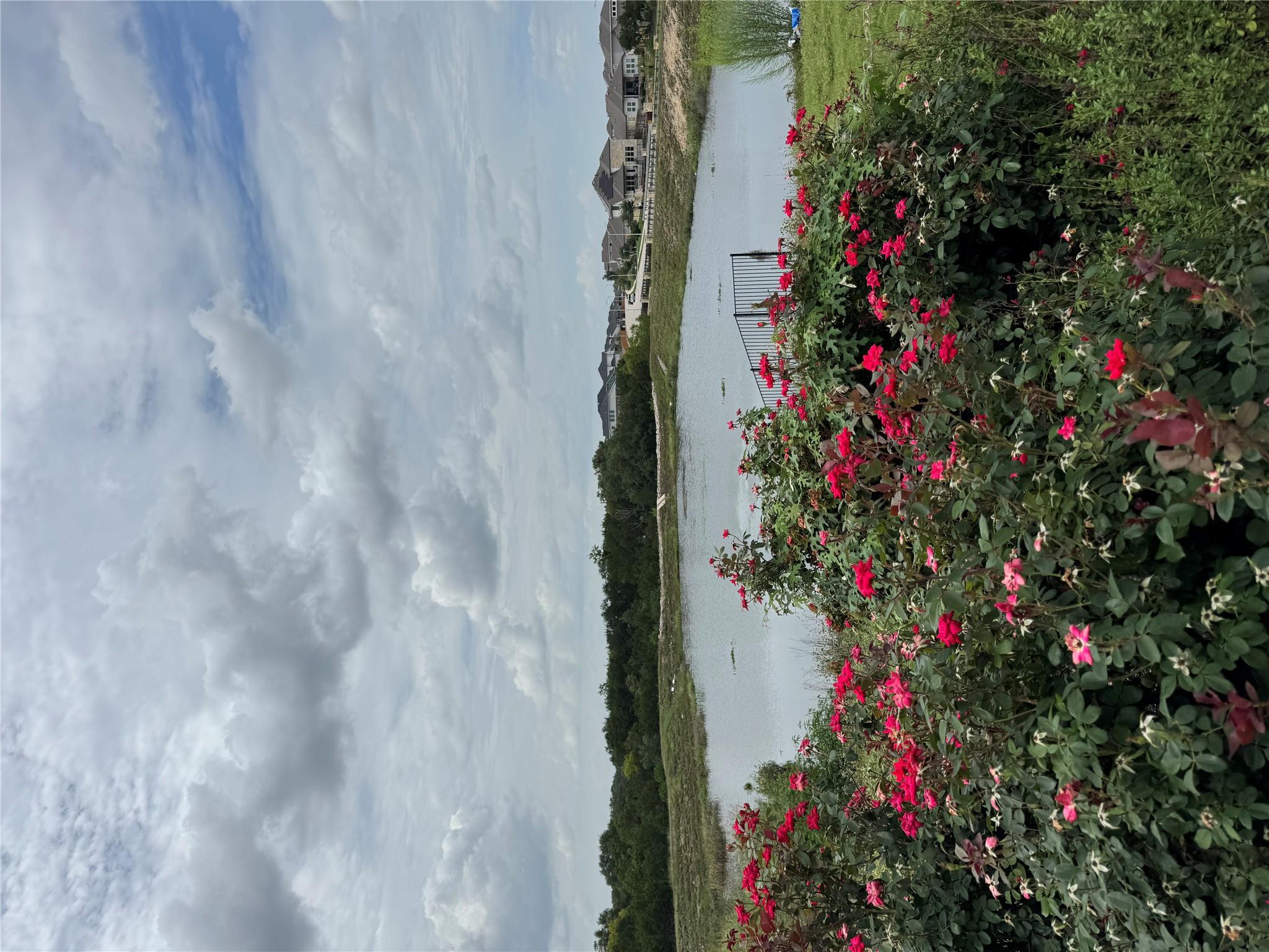 1513 Harrongton Way, Leander, TX 78641