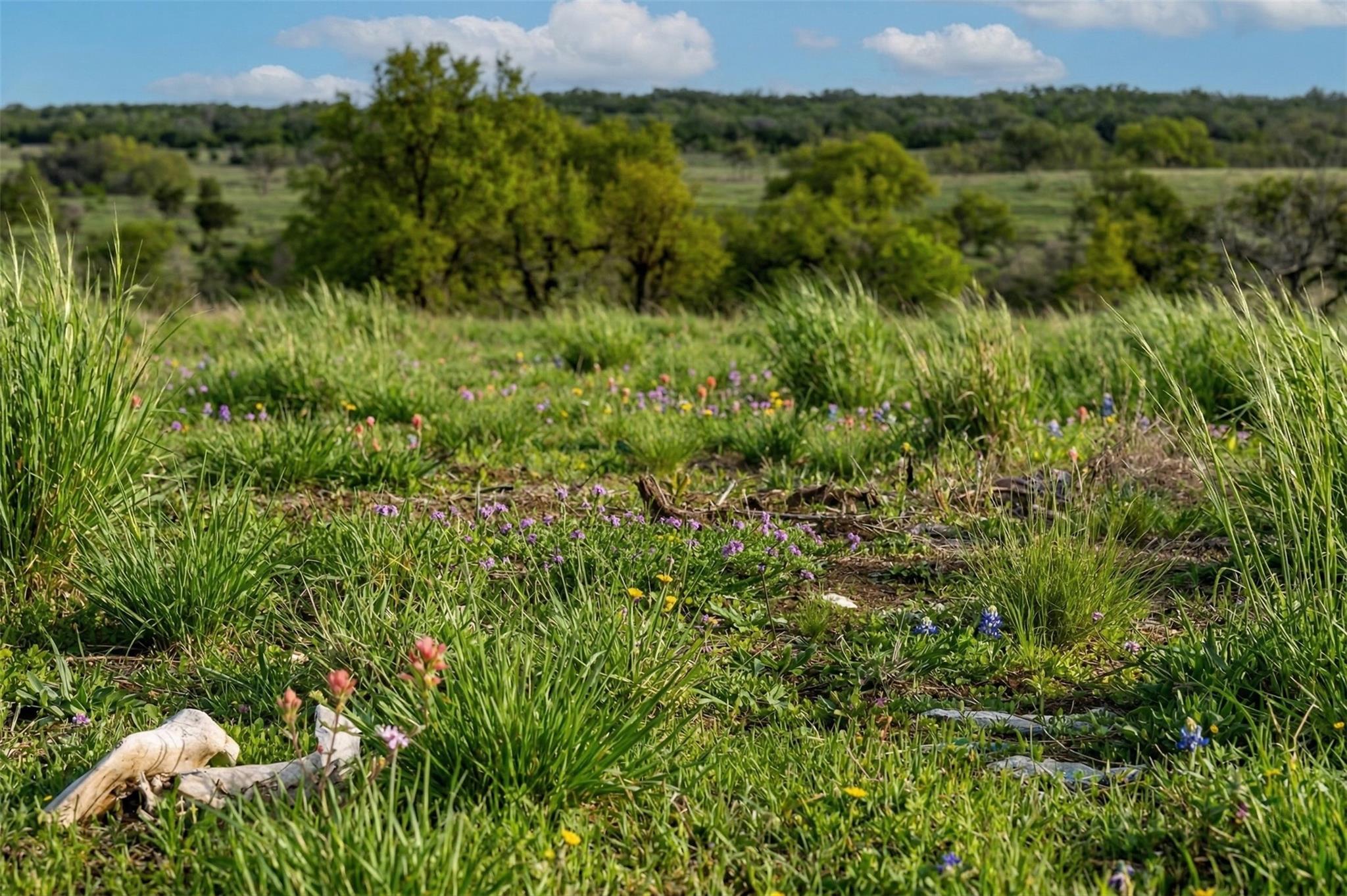 Lot 11 Maddalena Ln, Dripping Springs, TX 78620