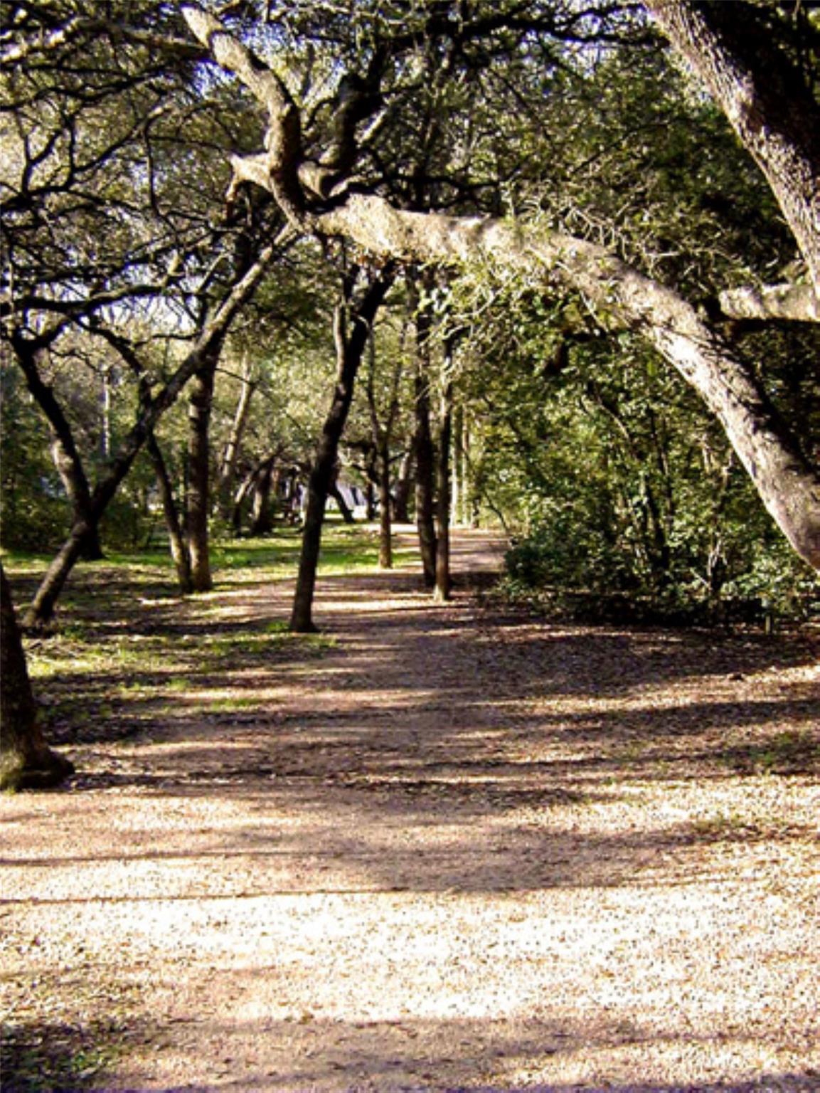 11522 Antigua Dr, Austin, TX 78759