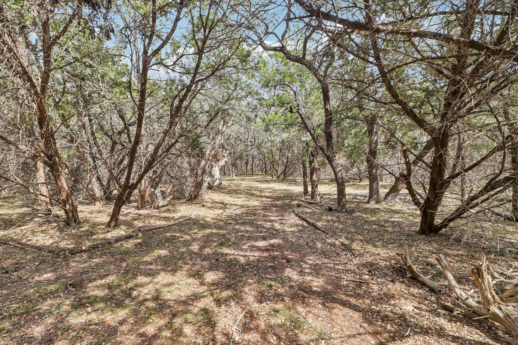 1500 Rebecca Creek Rd, Canyon Lake, TX 78133