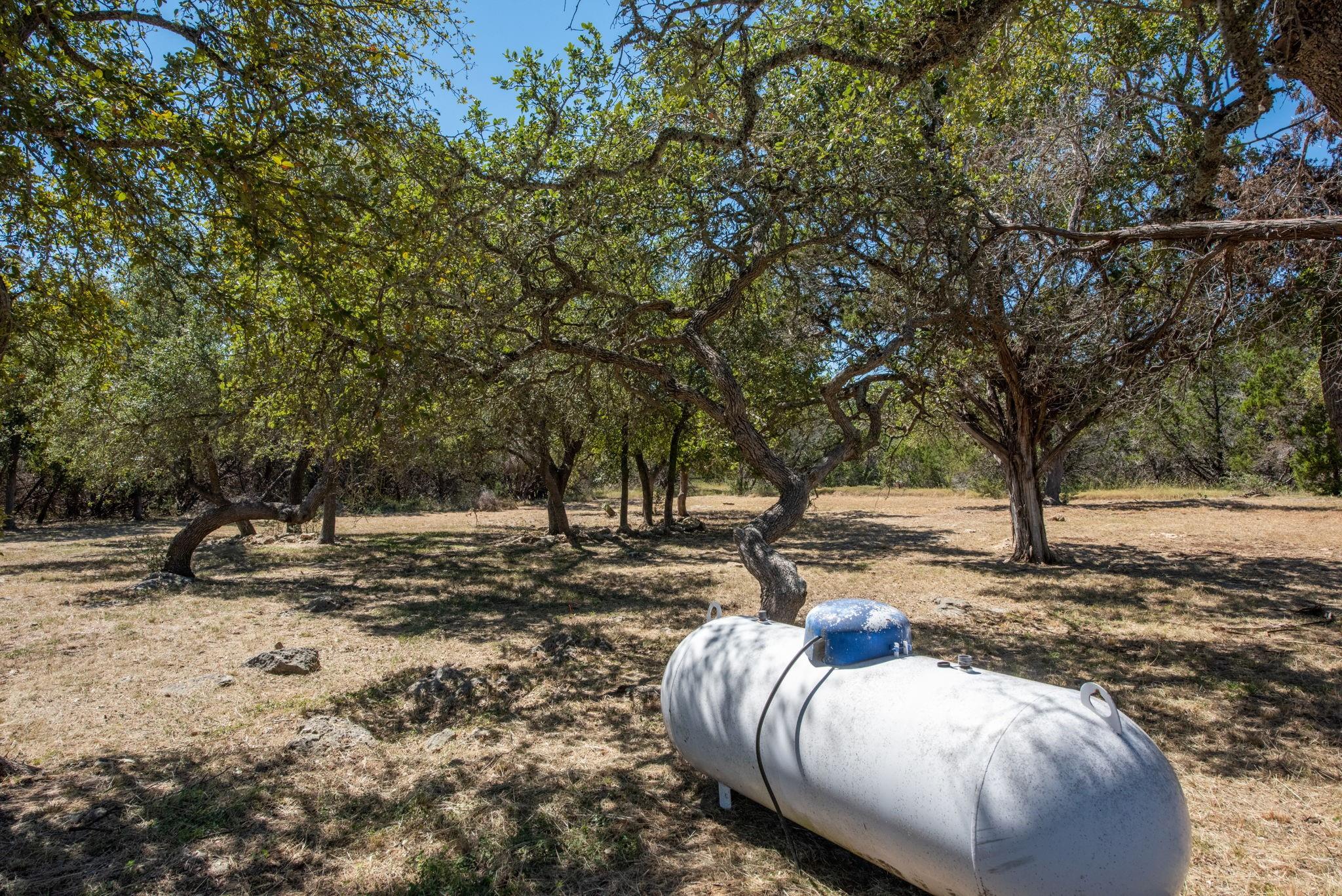 840 Forest View Dr, Blanco, TX 78606