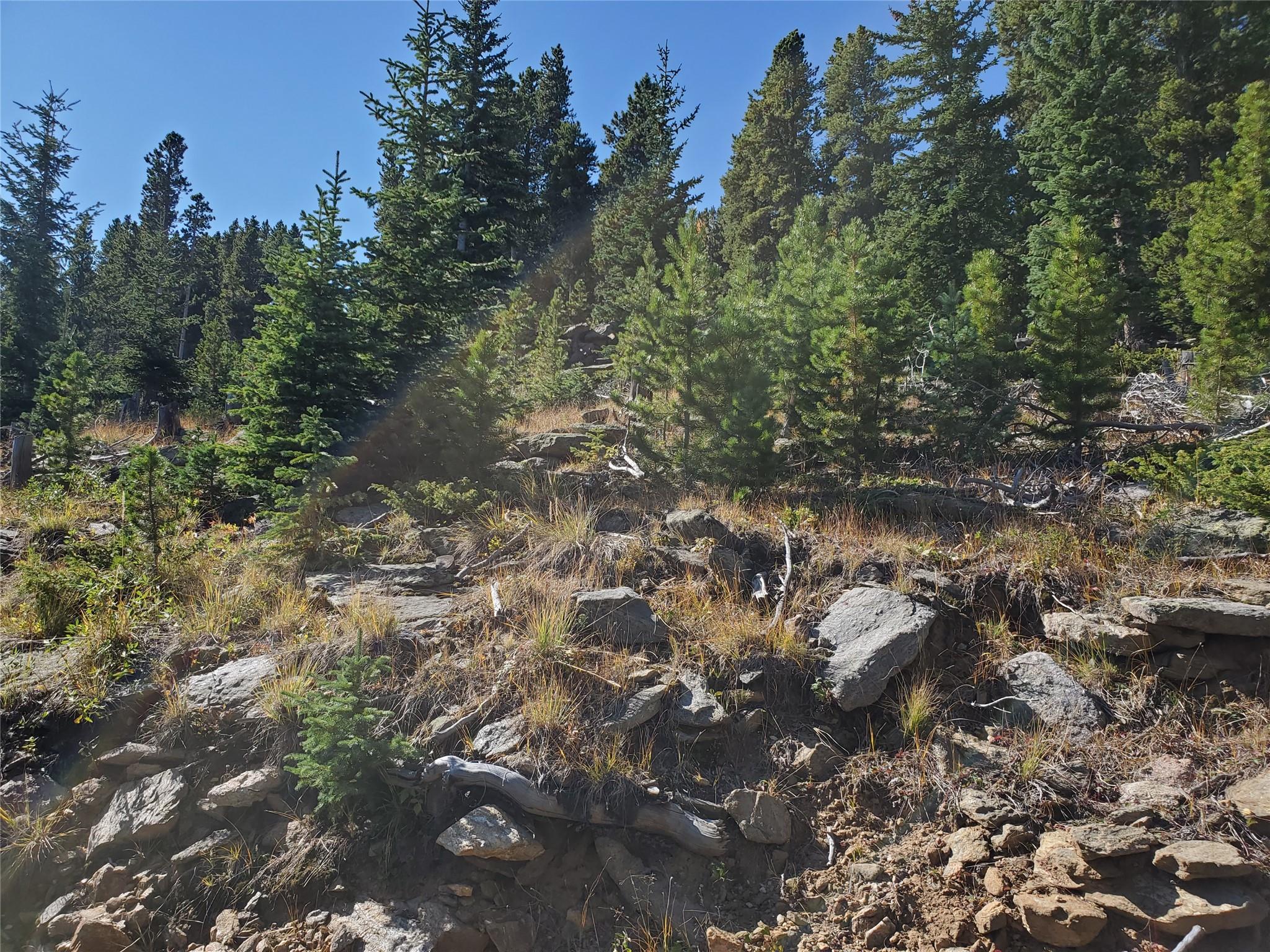 400 Long Road Rd, Out of State, CO 80452