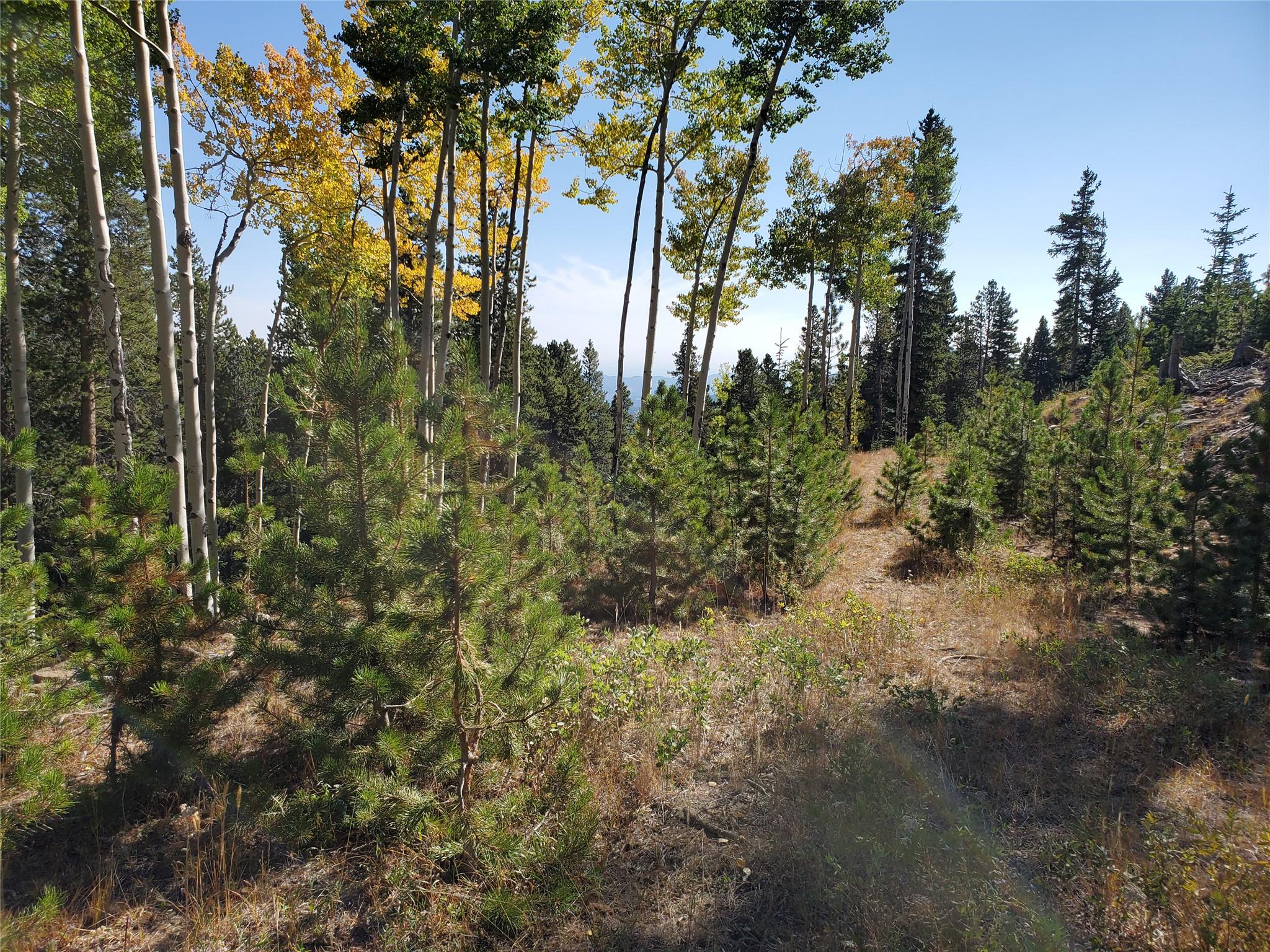 400 Long Road Rd, Out of State, CO 80452