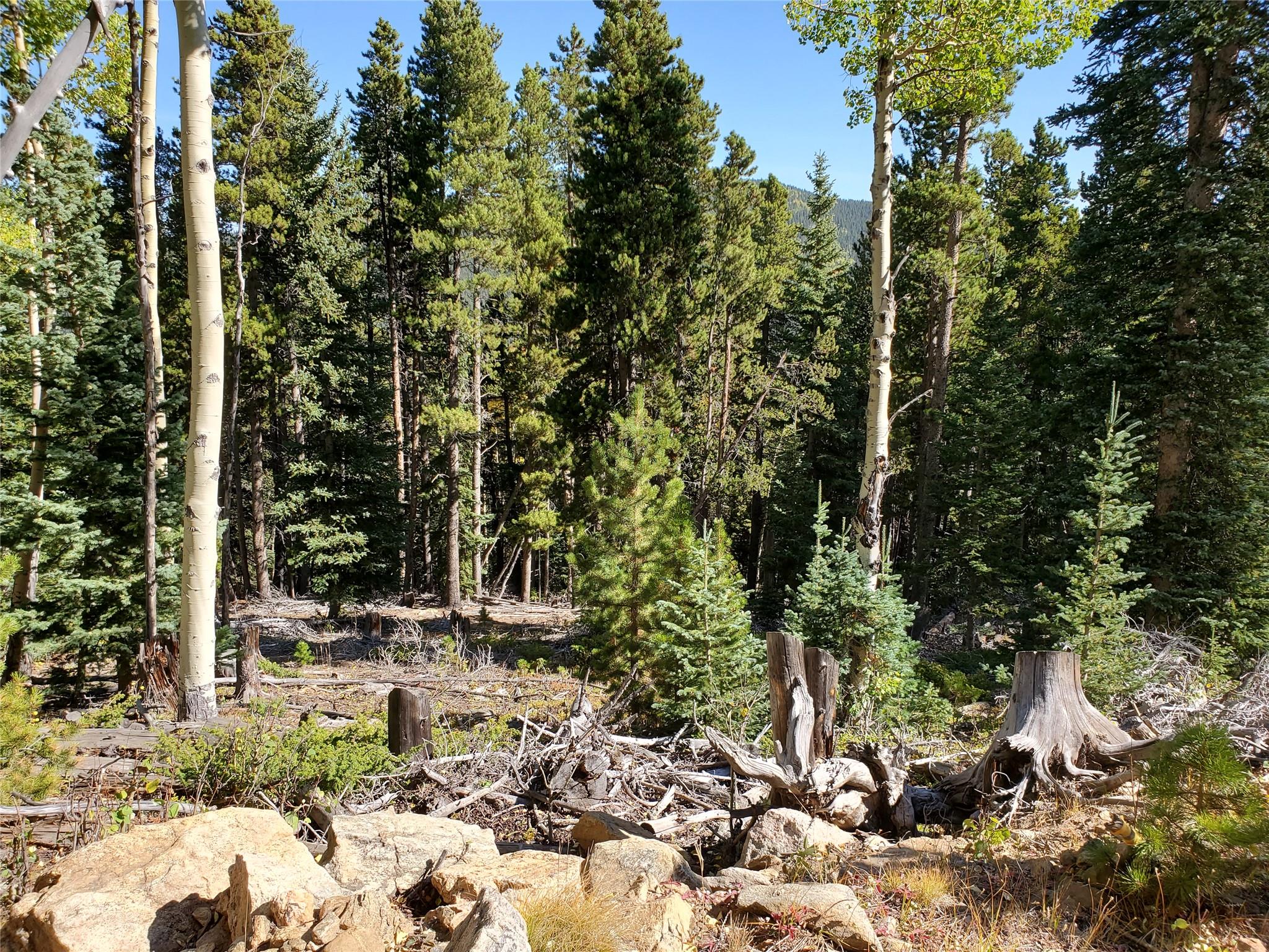 400 Long Road Rd, Out of State, CO 80452