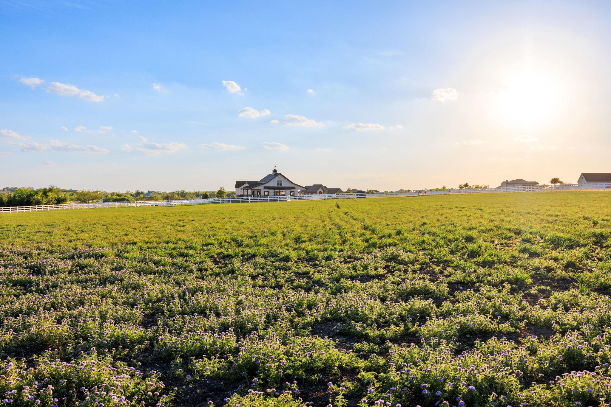 35105 Appaloosa Way, Georgetown, TX 78626