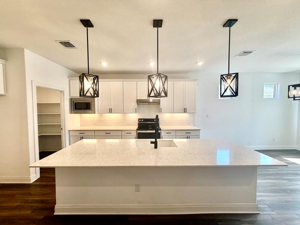 125 Slenderleaf Dr, Marble Falls, TX 78654