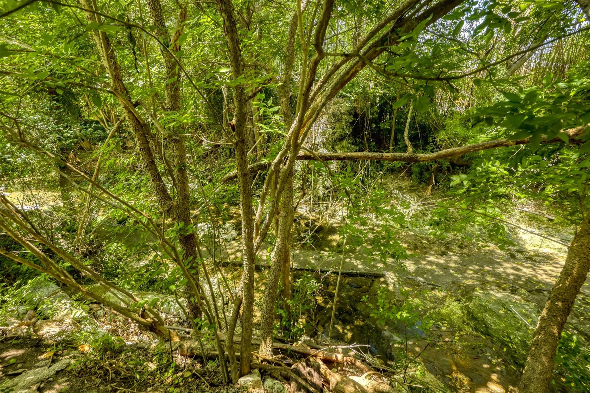 1007 Quail Park Dr, Austin, TX 78758