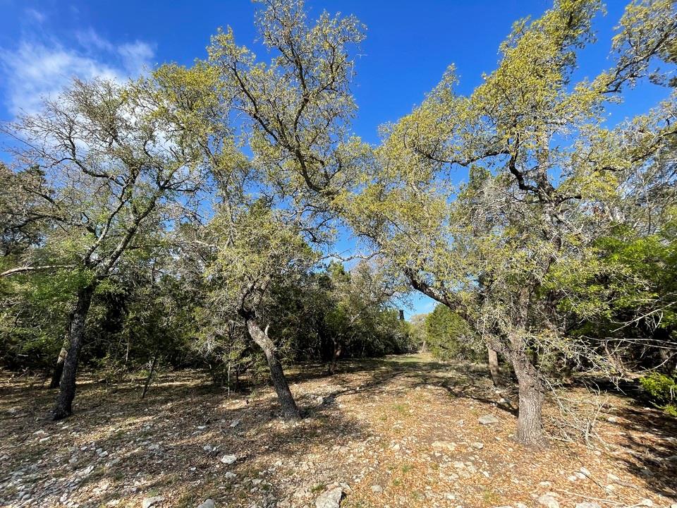 1400 Greer Lane, Burnet, TX 78611