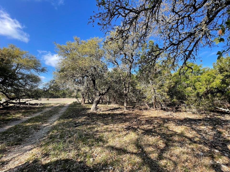 1400 Greer Lane, Burnet, TX 78611