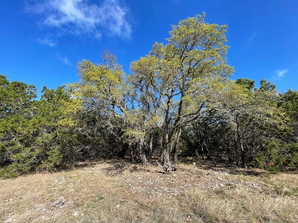 1400 Greer Lane, Burnet, TX 78611