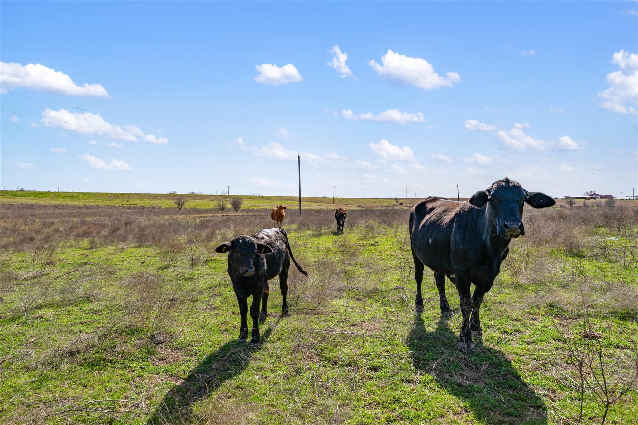 700 County Road 466, Elgin, TX 78621