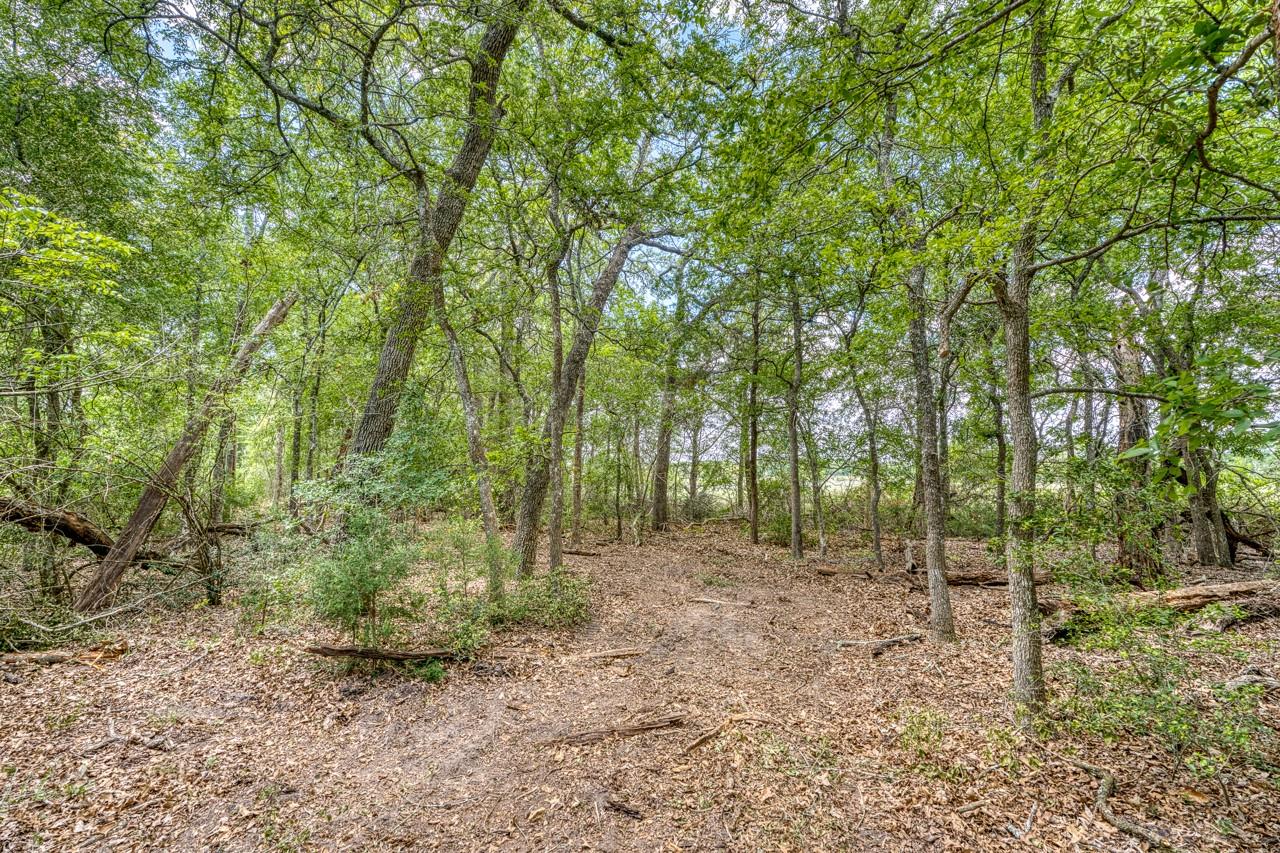 TBD Beaver Rd, Brenham, TX 77833