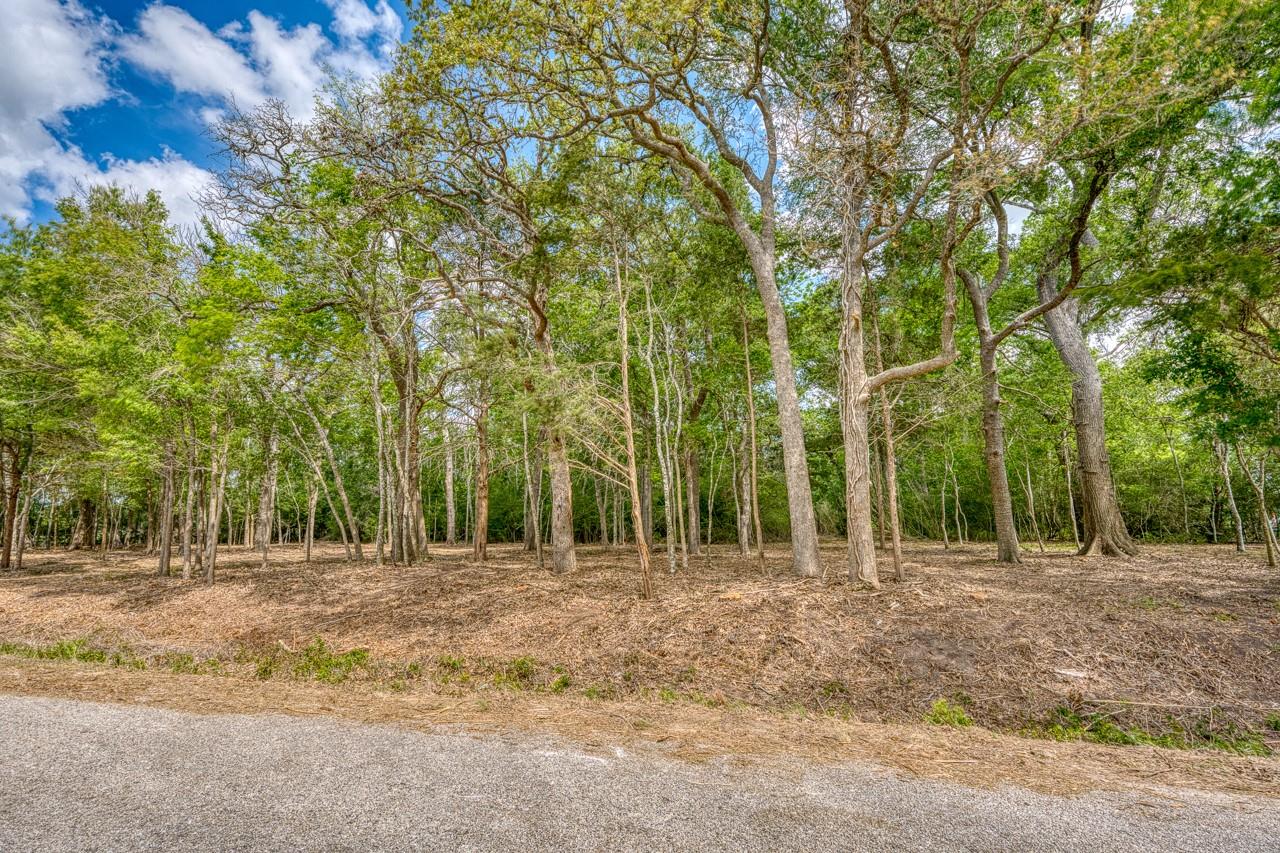 TBD Beaver Rd, Brenham, TX 77833