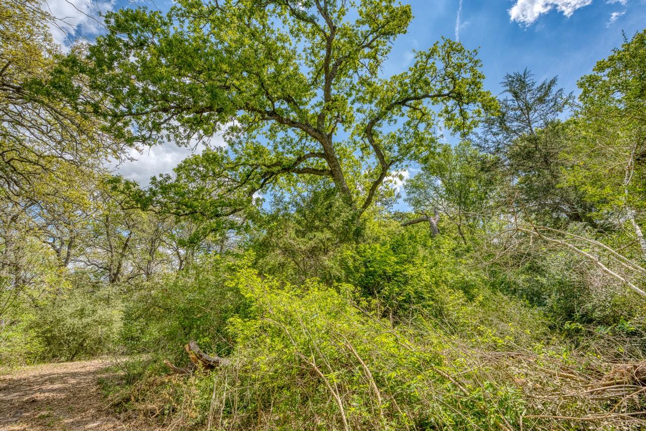 TBD Beaver Rd, Brenham, TX 77833