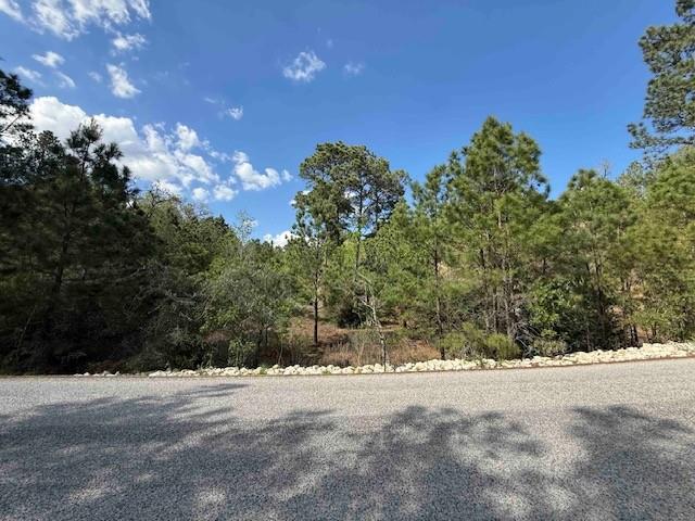 TBD None, Bastrop, TX 78602