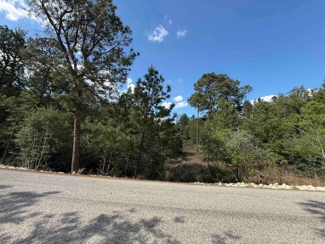 TBD None, Bastrop, TX 78602